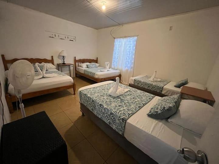 Casa Artavia Villa Tortuguero Dış mekan fotoğraf